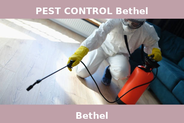 PEST CONTROL Bethel